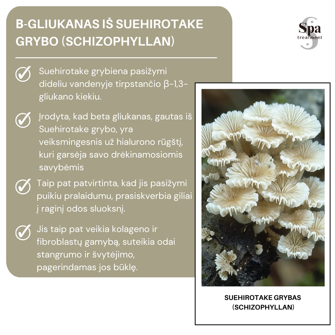 Spa Treatment Beta Glucan Essence 120 ml Japonų Klinika - Beža