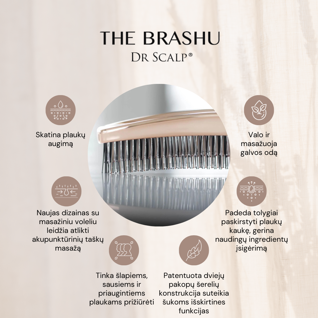 S-Heart-S Premium Long Gift box plaukų šukos Dr. Scalp