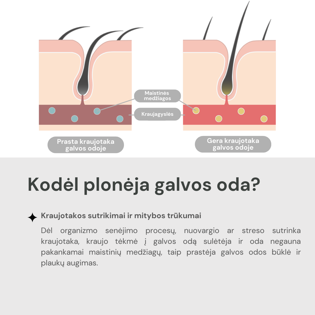 S-Heart-S Premium Long Gift box plaukų šukos Dr. Scalp