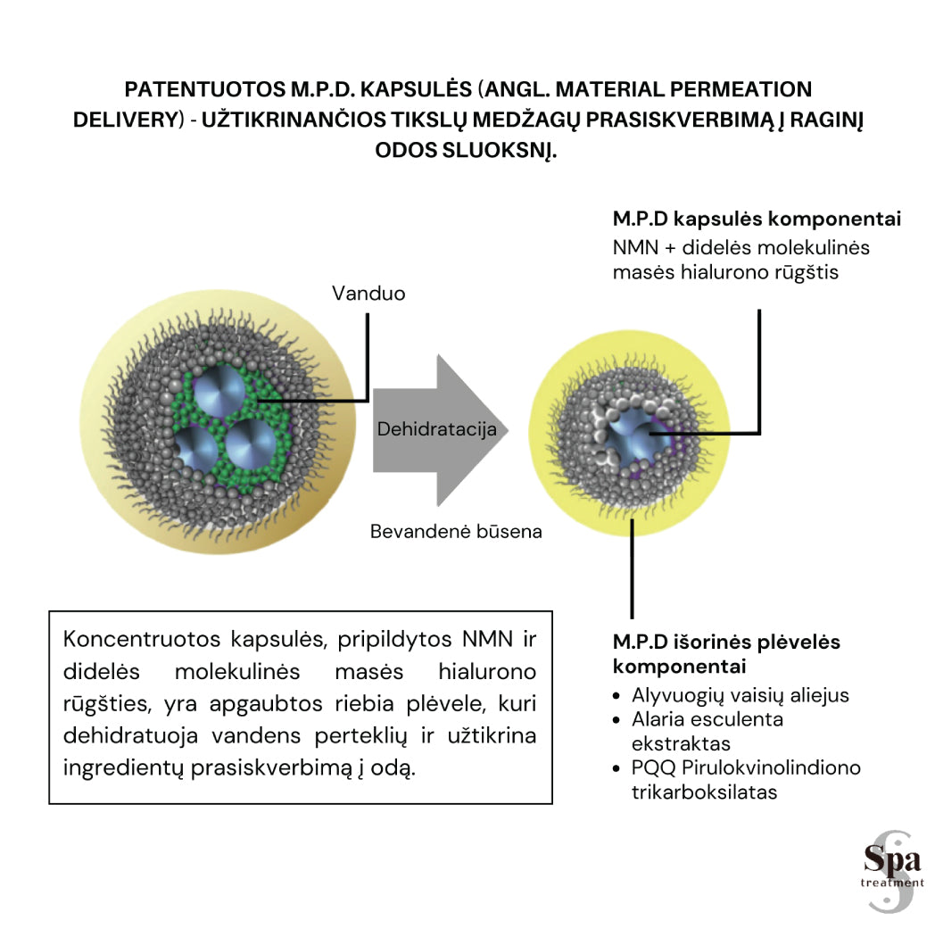 Spa Treatment β Glucan Essence - β (beta) gliukano esencija 300 ml (Copy) Japonų Klinika - Beža