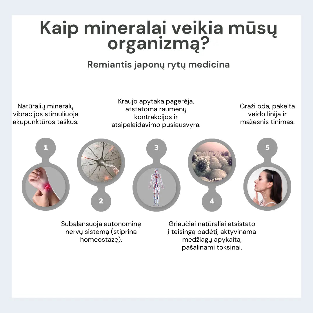 Fealena besiūlių koreguojančių kelnaičių ir liemenėlės komplektas Fealena