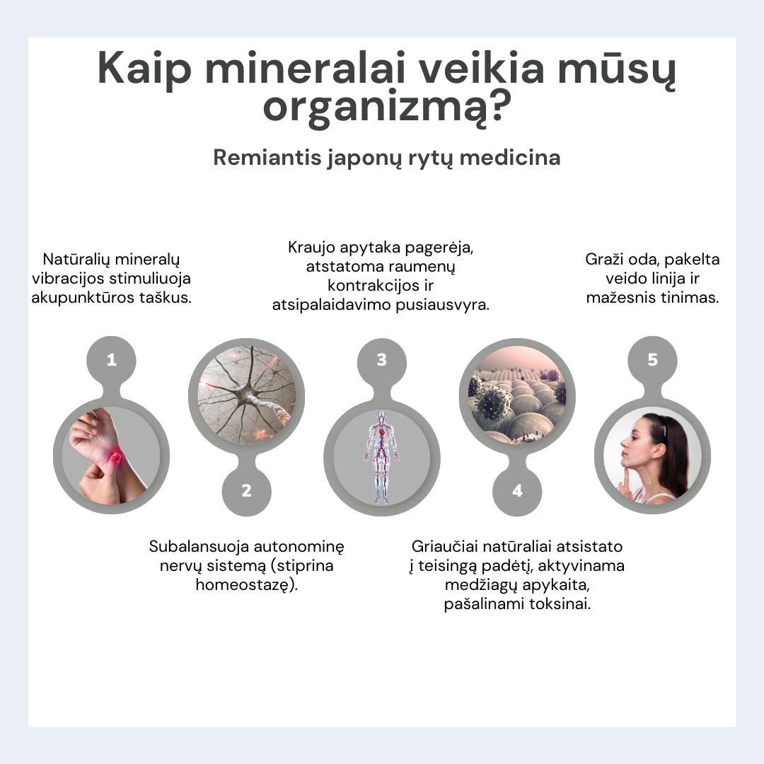 Fealena besiūlės koreguojančios kelnaitės su paaukštintu liemeniu Fealena