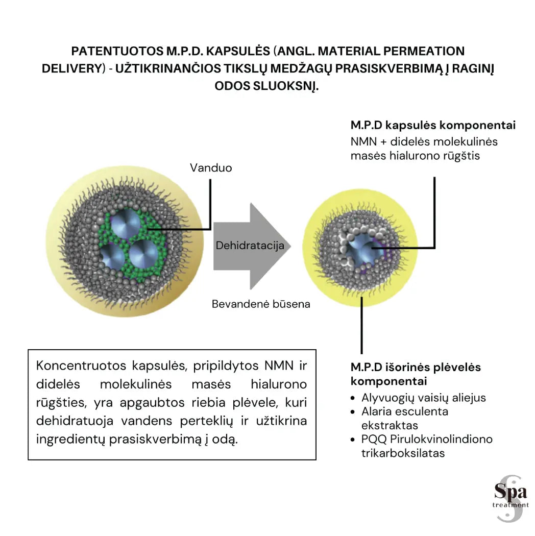 Spa Treatment Oil Essence. NMN keramidų esencija, 30 ml Spa Treatment