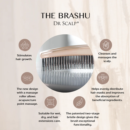 Dr. Scalp THE Brashu Šukos. Šukos šlapiems ir sausiems plaukams Dr. Scalp