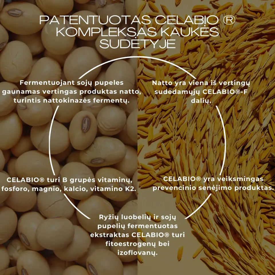 CELABIO CO₂ – japoniška putojanti gelio kaukė odos švytėjimui Toyo Hakko