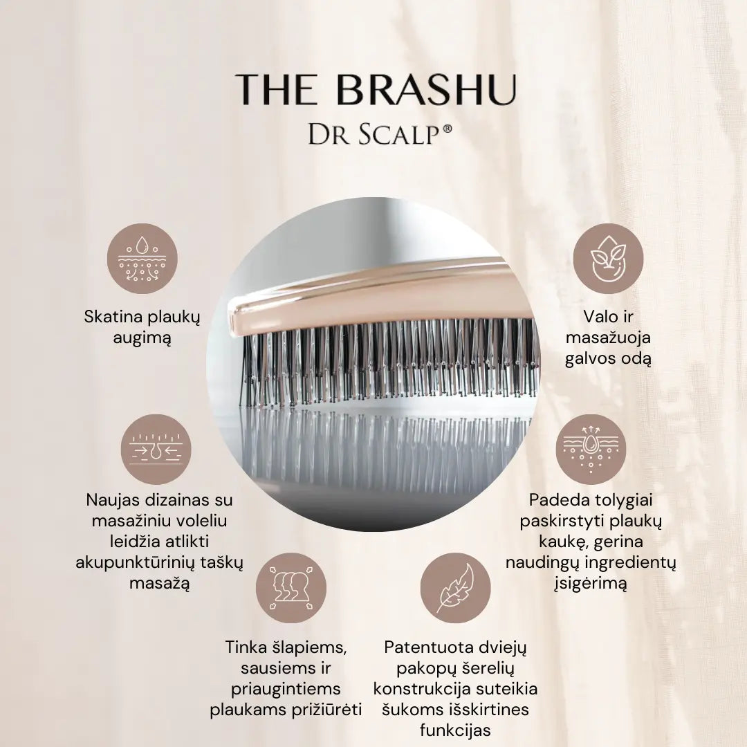 Dr. Scalp THE Brashu Šukos. Šukos šlapiems ir sausiems plaukams Dr. Scalp