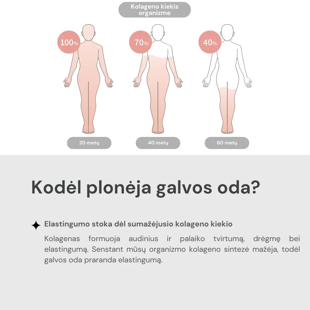 Dr. Scalp THE Brashu Šukos. Šukos šlapiems ir sausiems plaukams Dr. Scalp