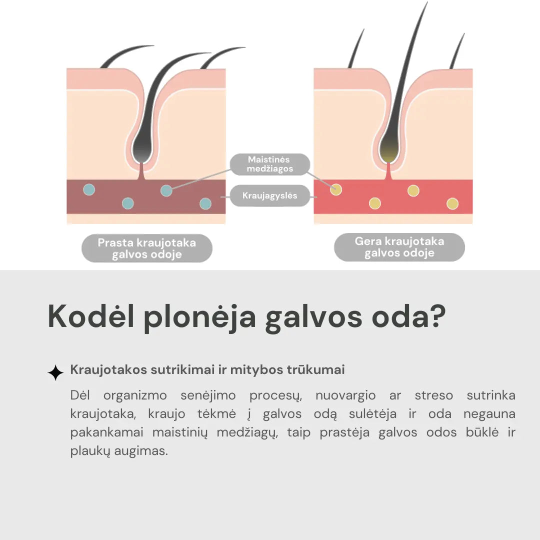 Dr. Scalp THE Brashu Šukos. Šukos šlapiems ir sausiems plaukams Dr. Scalp