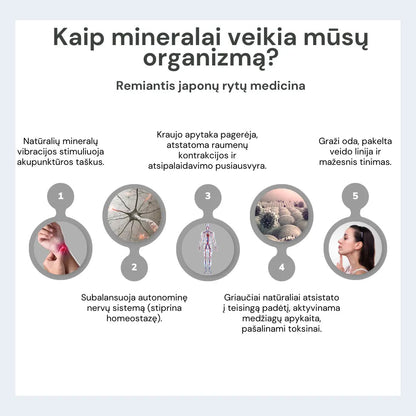 Fealena besiūlių koreguojančių kelnaičių ir liemenėlės komplektas Fealena