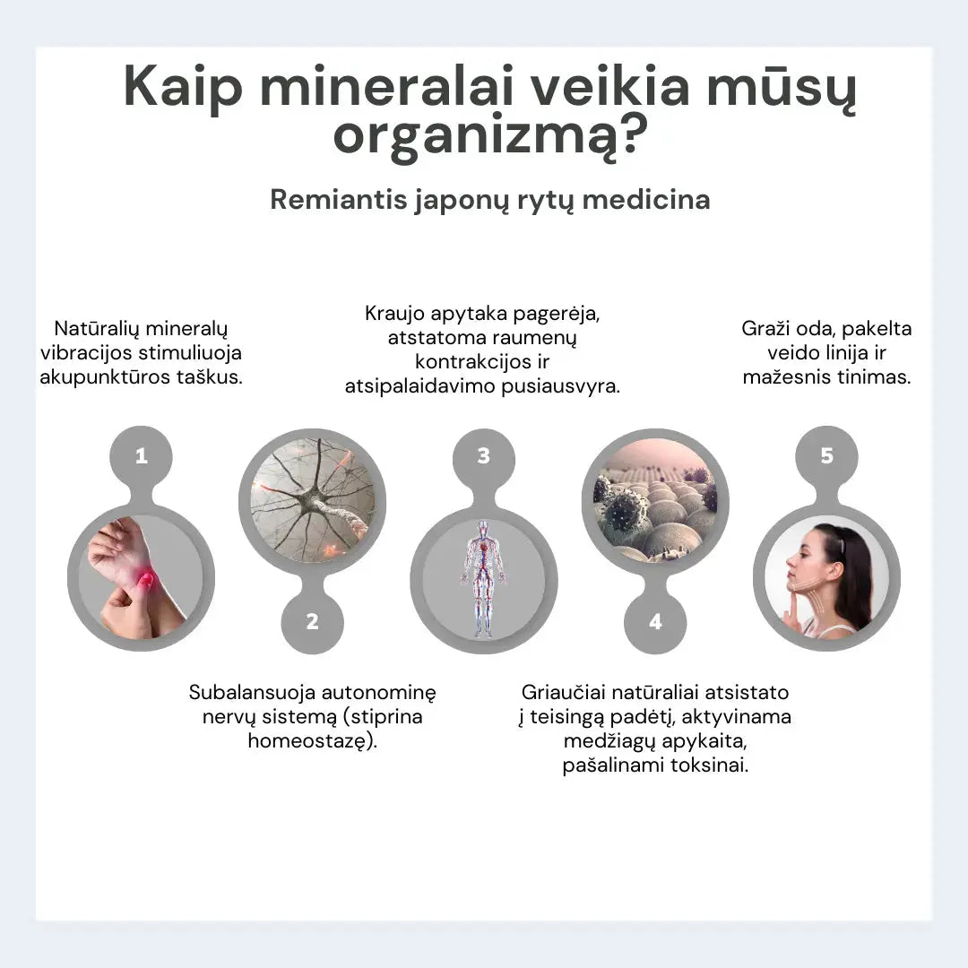 Fealena besiūlių koreguojančių kelnaičių ir liemenėlės komplektas Fealena