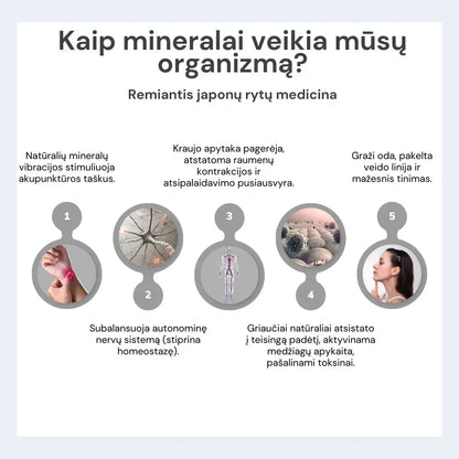 Fealena besiūlių koreguojančių kelnaičių ir liemenėlės komplektas Fealena