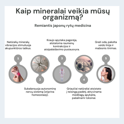 Fealena besiūlės koreguojančios kelnaitės su paaukštintu liemeniu Fealena