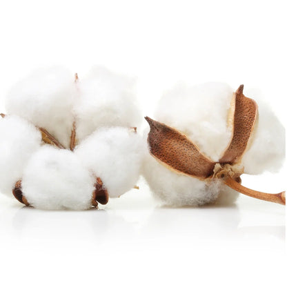 Cotton Labo. Organic 100% cotton sanitary pads with wings for overnight use, 7 pcs.