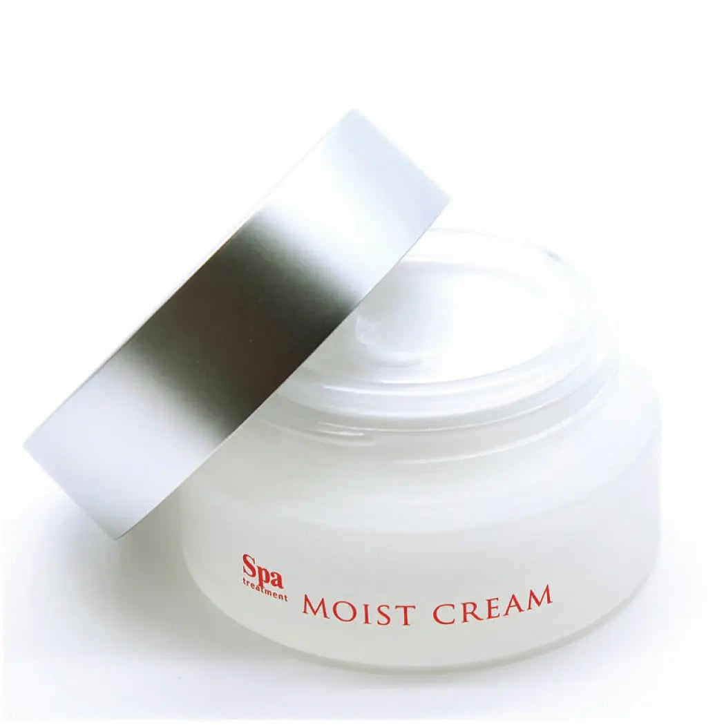 Spa Treatment ABSO Moist Cream – Moisturizing Face Cream, 30 ml