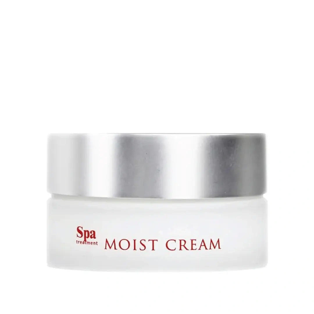 Spa Treatment ABSO Moist Cream – Moisturizing Face Cream, 30 ml