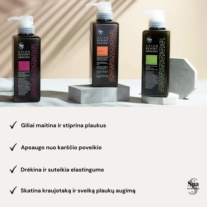 Spa Treatment Hair Cream – Carrot kremas galvos odai ir plaukams. Maitina ir stiprina, 400 ml Spa Treatment