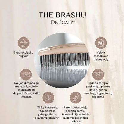 Yoshiki 5-piece set Beža Longevity