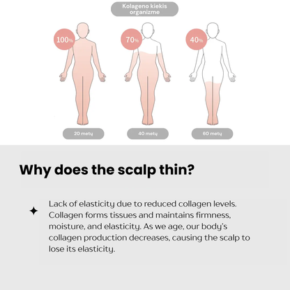 Dr. Scalp THE Brashu Šukos. Šukos šlapiems ir sausiems plaukams Dr. Scalp