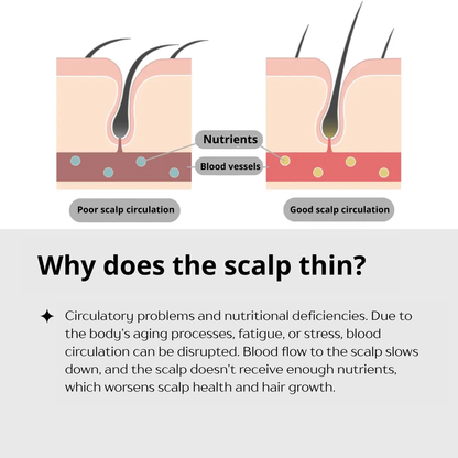 Dr. Scalp THE Brashu Šukos. Šukos šlapiems ir sausiems plaukams Dr. Scalp